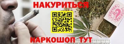 спиды Новозыбков