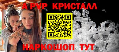 спиды Новозыбков